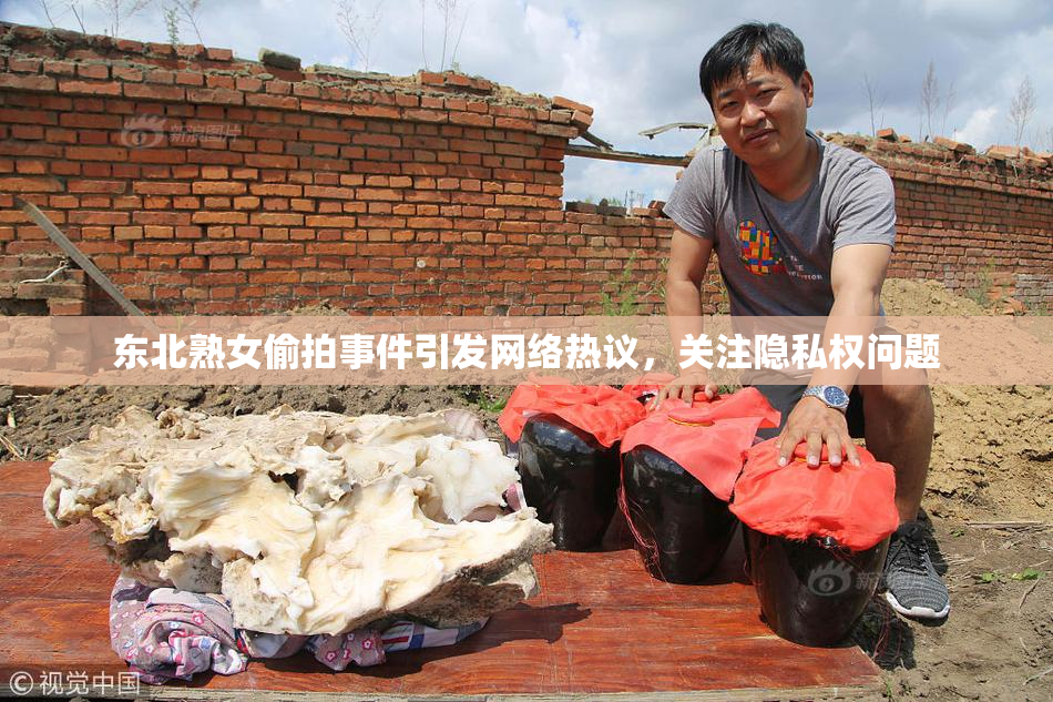 东北熟女偷拍事件引发网络热议，关注隐私权问题