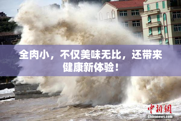全肉小，不仅美味无比，还带来健康新体验！