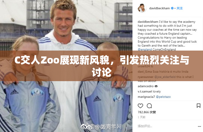 C交人Zoo展现新风貌，引发热烈关注与讨论