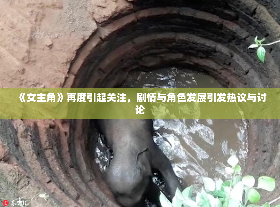 《女主角》再度引起关注，剧情与角色发展引发热议与讨论