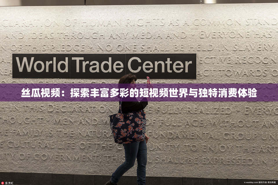 丝瓜视频：探索丰富多彩的短视频世界与独特消费体验