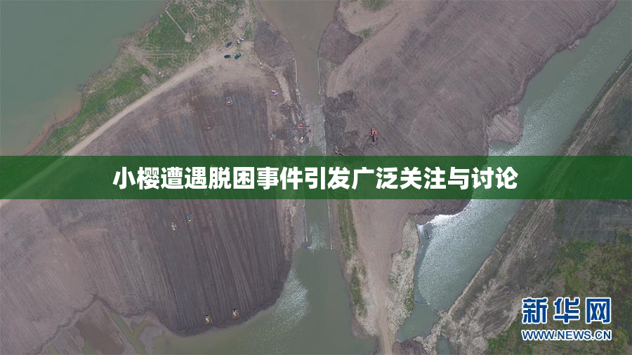 小樱遭遇脱困事件引发广泛关注与讨论