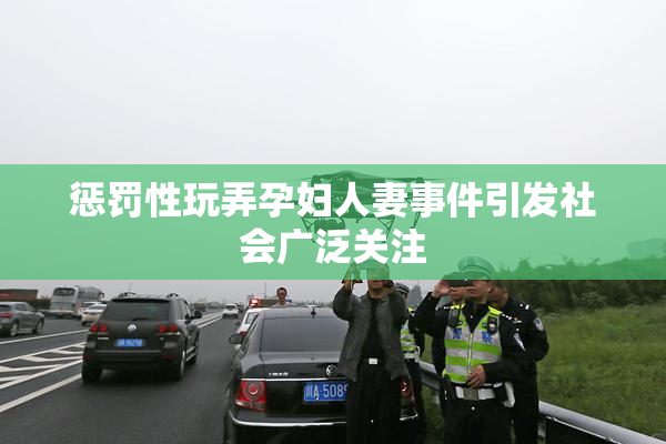 惩罚性玩弄孕妇人妻事件引发社会广泛关注