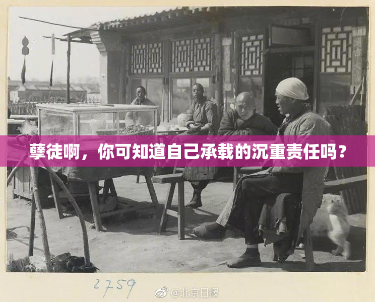 孽徒啊，你可知道自己承载的沉重责任吗？
