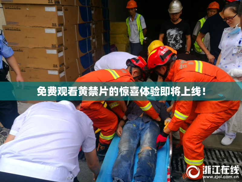 免费观看黄禁片的惊喜体验即将上线！