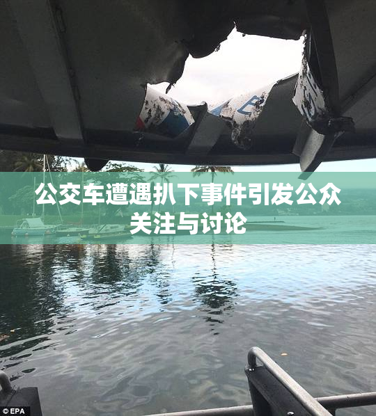 公交车遭遇扒下事件引发公众关注与讨论