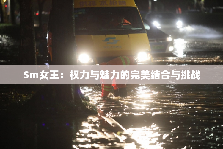 Sm女王：权力与魅力的完美结合与挑战