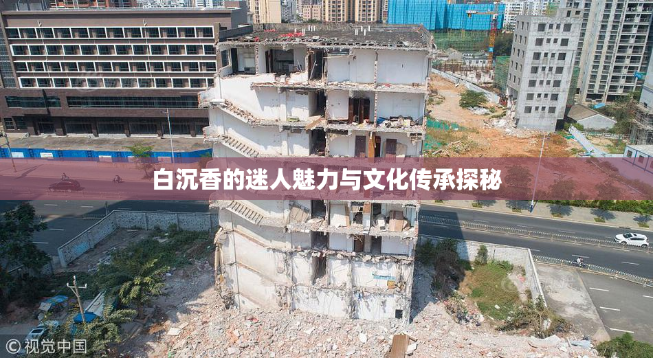 白沉香的迷人魅力与文化传承探秘