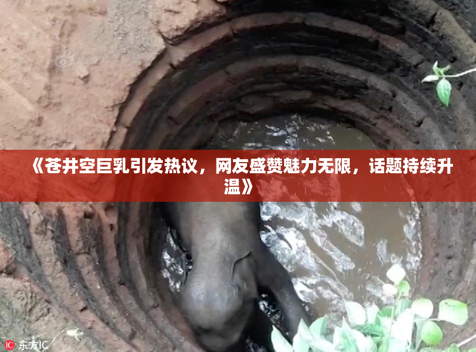 《苍井空巨乳引发热议，网友盛赞魅力无限，话题持续升温》