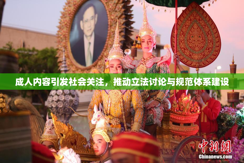 成人内容引发社会关注，推动立法讨论与规范体系建设