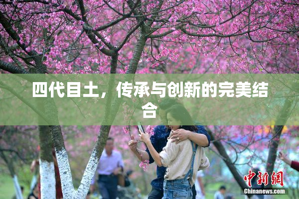 四代目土，传承与创新的完美结合