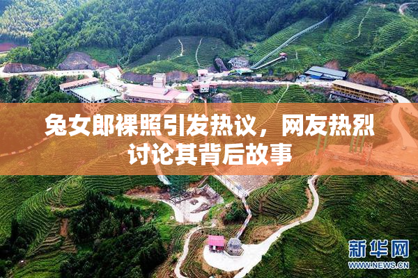兔女郎裸照引发热议，网友热烈讨论其背后故事
