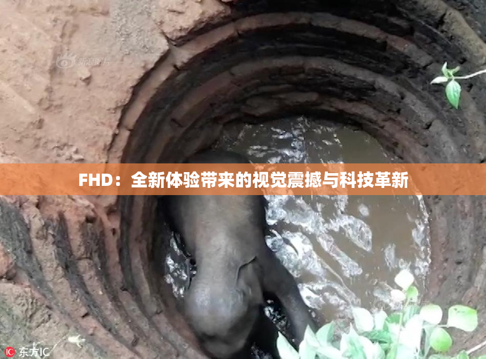 FHD：全新体验带来的视觉震撼与科技革新