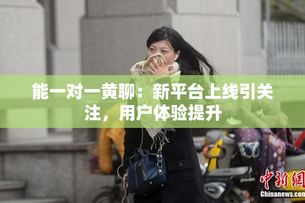 能一对一黄聊：新平台上线引关注，用户体验提升
