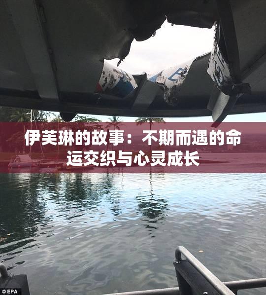 伊芙琳的故事：不期而遇的命运交织与心灵成长
