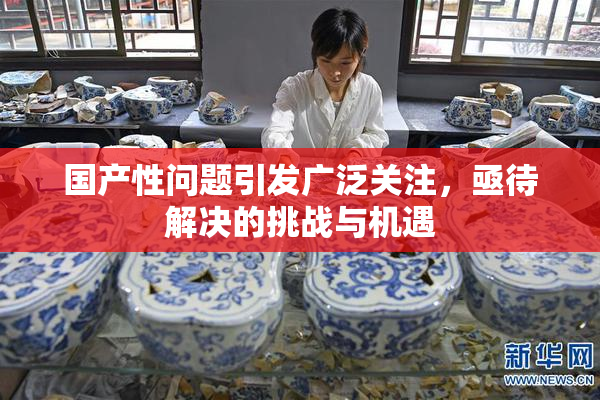 国产性问题引发广泛关注，亟待解决的挑战与机遇