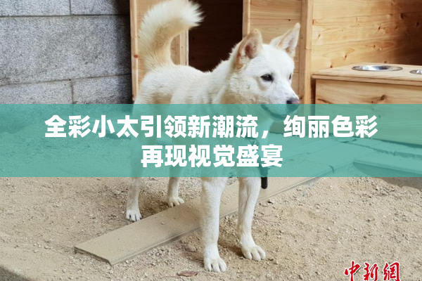 全彩小太引领新潮流，绚丽色彩再现视觉盛宴