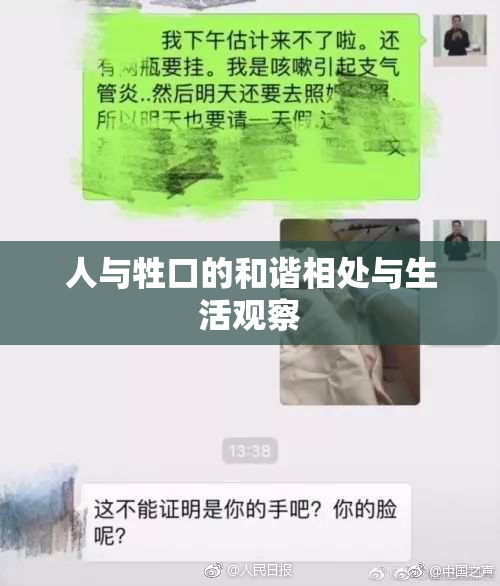 人与牲口的和谐相处与生活观察