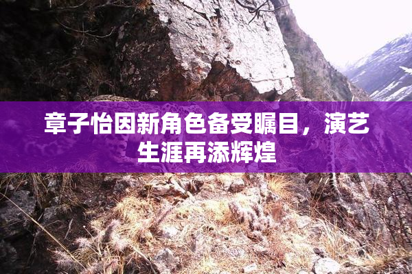 章子怡因新角色备受瞩目，演艺生涯再添辉煌