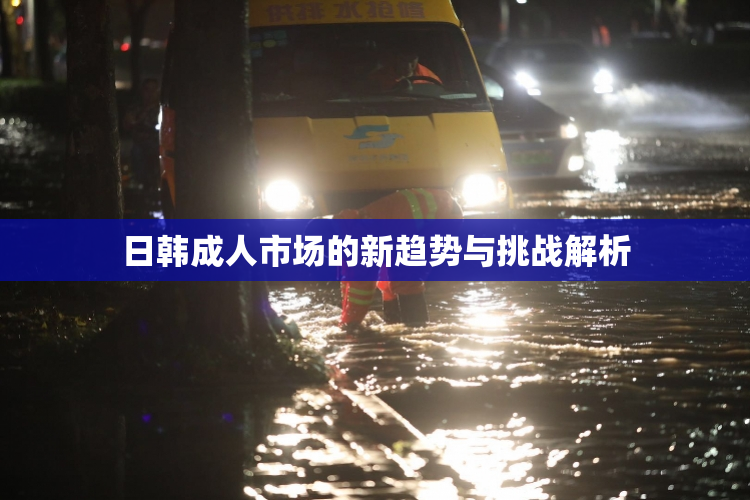 日韩成人市场的新趋势与挑战解析