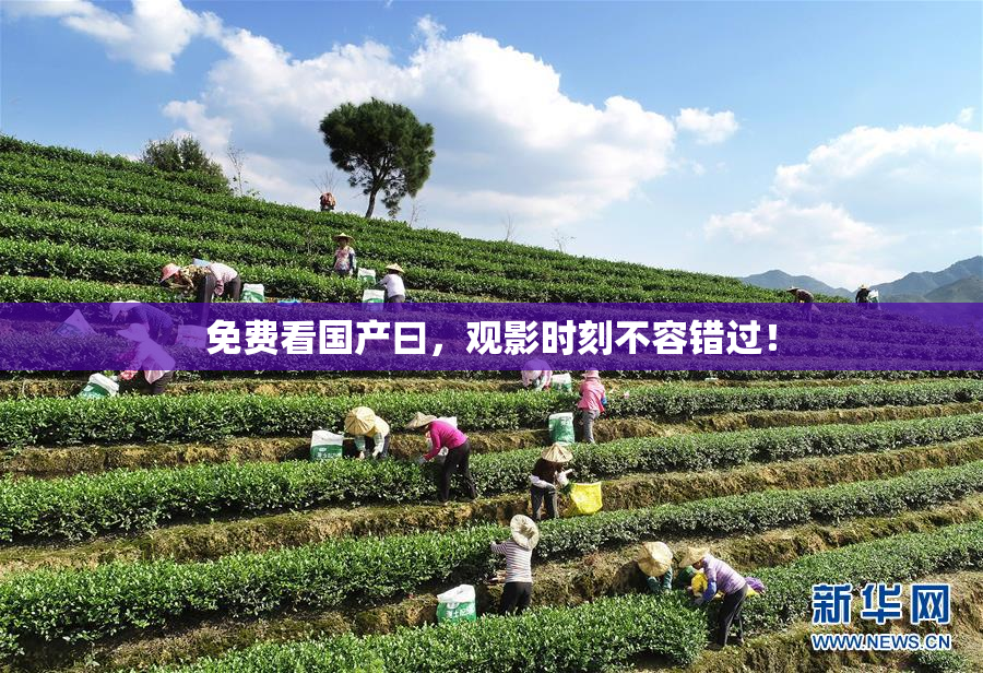 免费看国产曰，观影时刻不容错过！