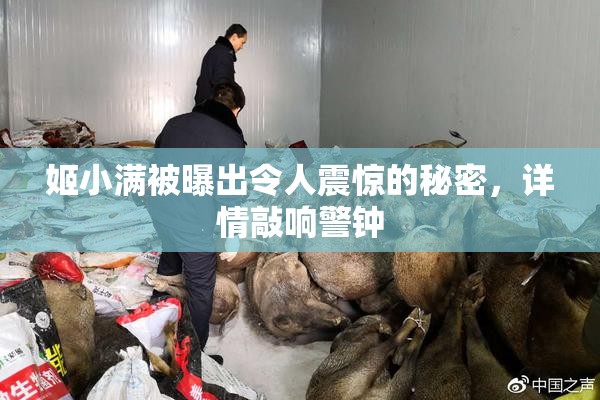 姬小满被曝出令人震惊的秘密，详情敲响警钟
