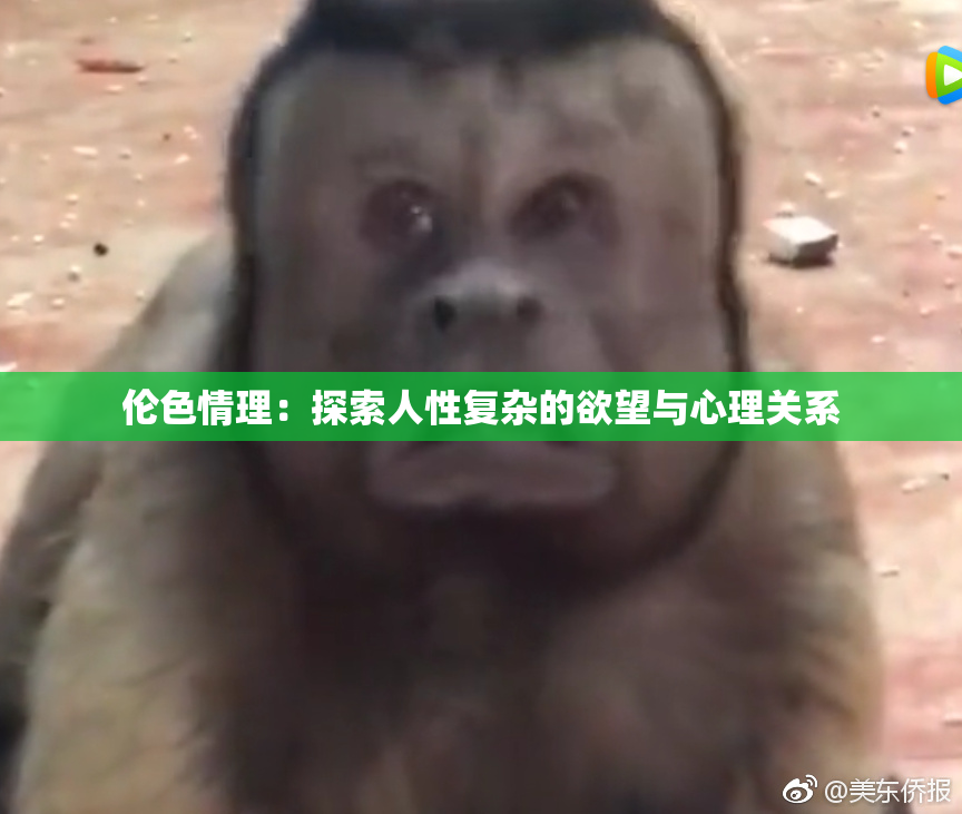 伦色情理：探索人性复杂的欲望与心理关系