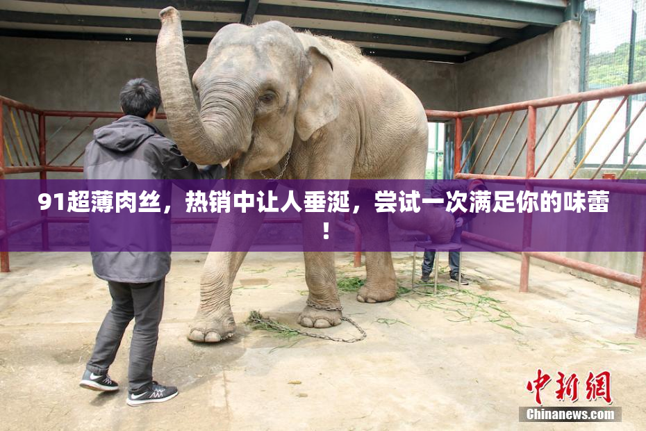 91超薄肉丝，热销中让人垂涎，尝试一次满足你的味蕾！