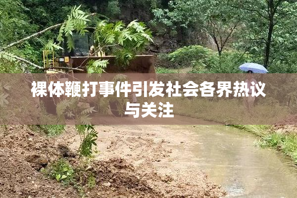 裸体鞭打事件引发社会各界热议与关注