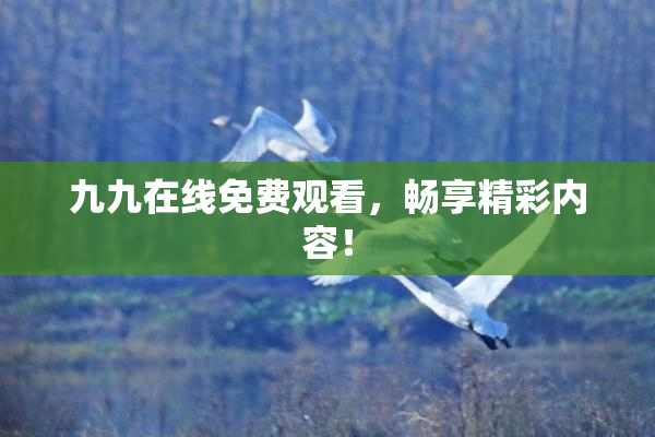 九九在线免费观看，畅享精彩内容！