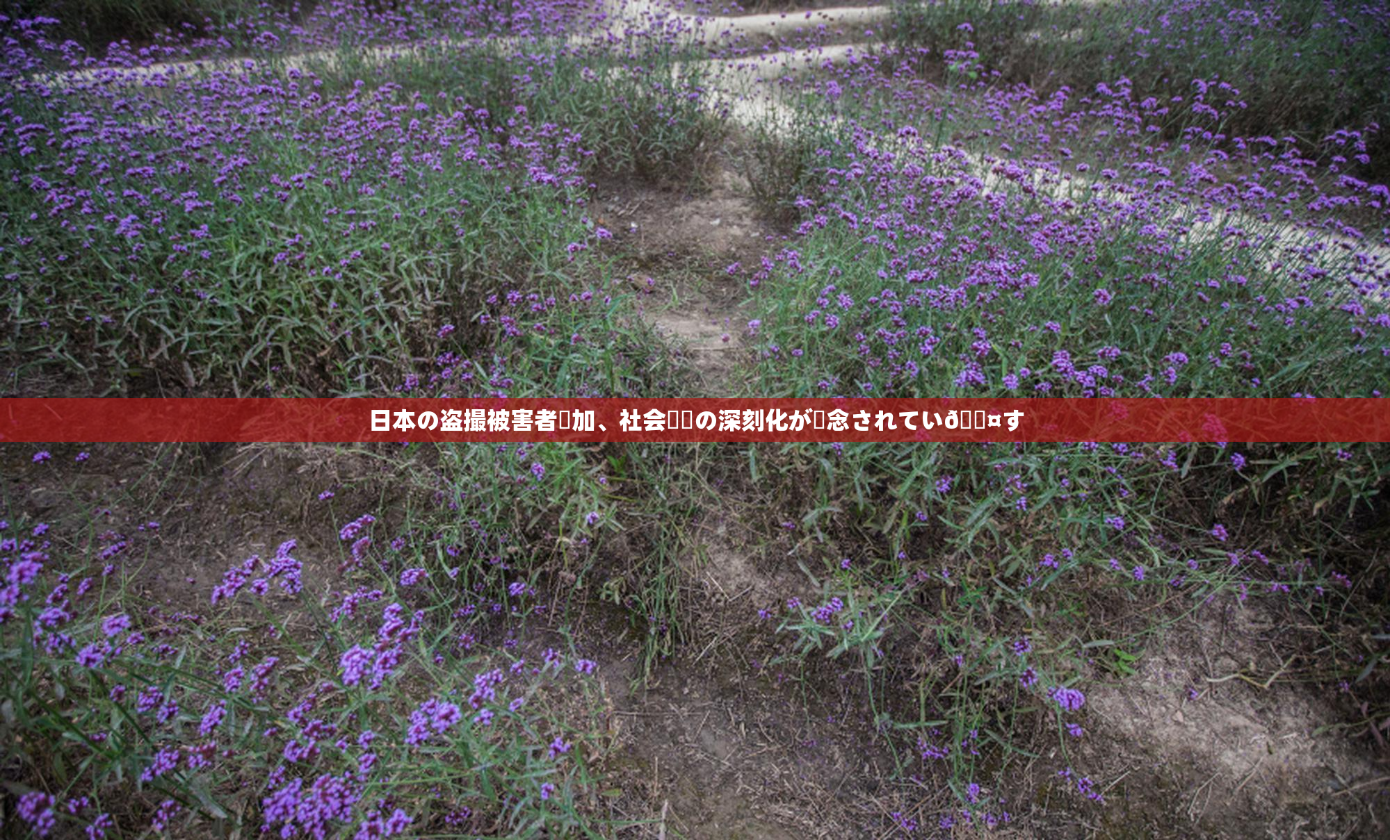 日本の盗撮被害者増加、社会問題の深刻化が懸念されてい🖤す