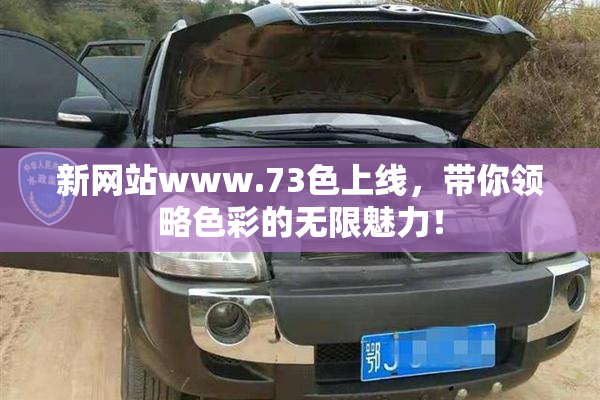 新网站www.73色上线，带你领略色彩的无限魅力！
