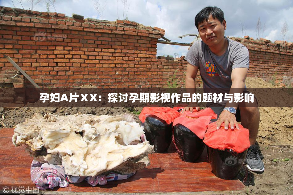 孕妇A片ⅩX：探讨孕期影视作品的题材与影响