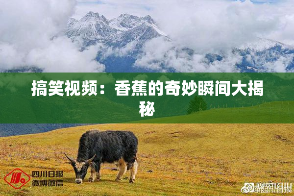 搞笑视频：香蕉的奇妙瞬间大揭秘