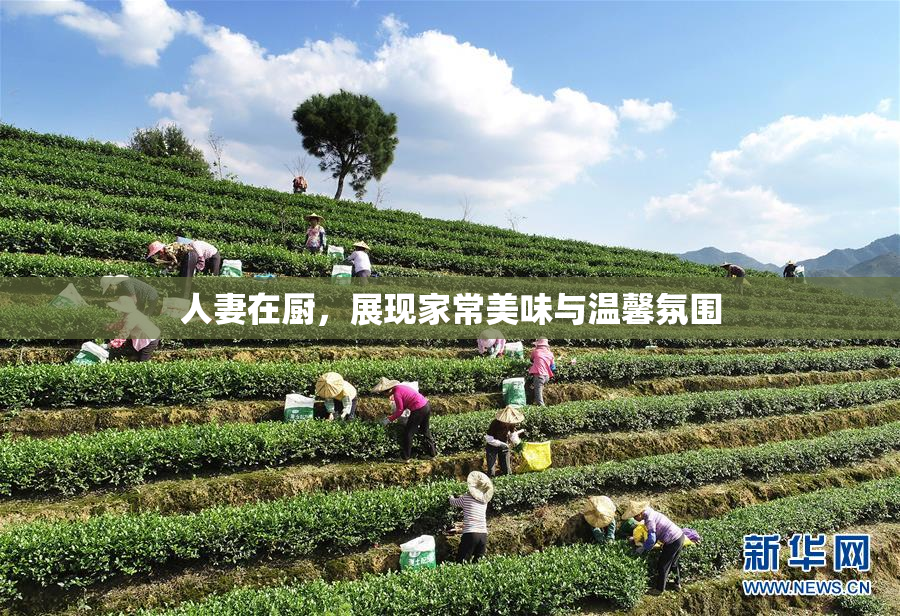 人妻在厨，展现家常美味与温馨氛围