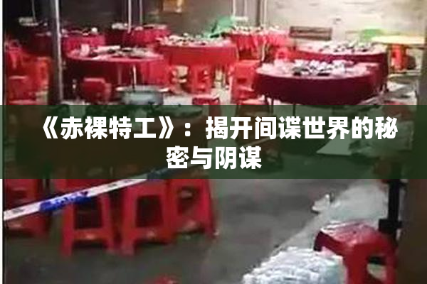 《赤裸特工》：揭开间谍世界的秘密与阴谋