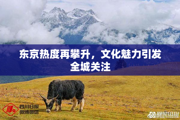 东京热度再攀升，文化魅力引发全城关注