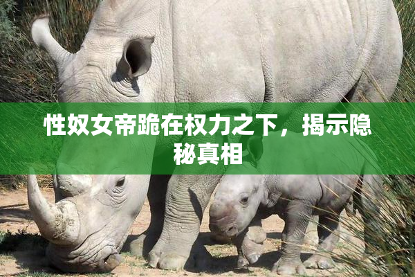 性奴女帝跪在权力之下，揭示隐秘真相