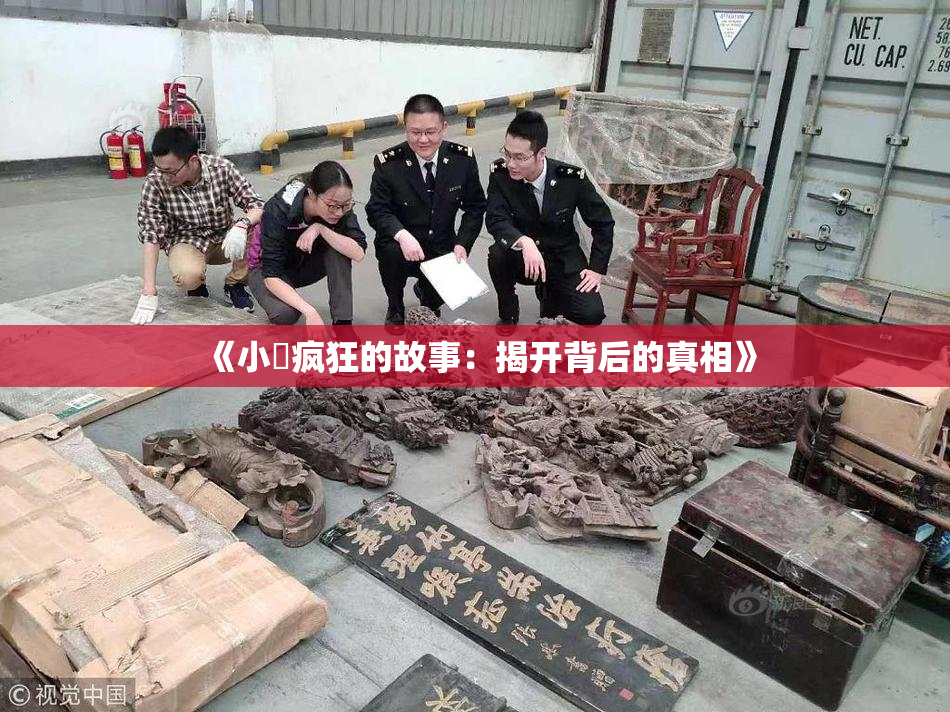《小泬疯狂的故事：揭开背后的真相》