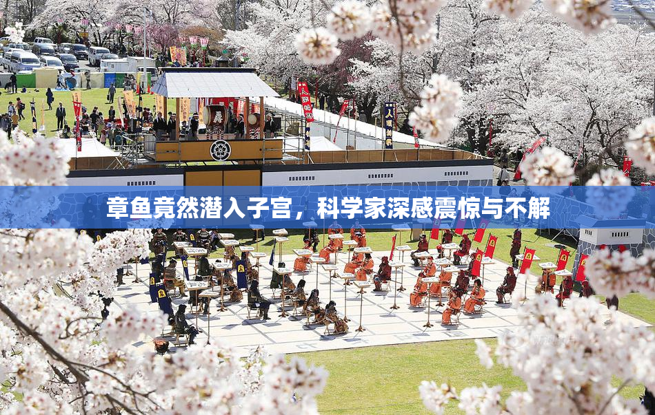 章鱼竟然潜入子宫，科学家深感震惊与不解