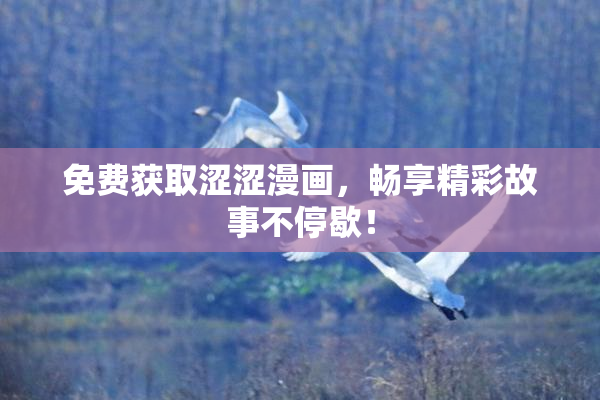 免费获取涩涩漫画，畅享精彩故事不停歇！