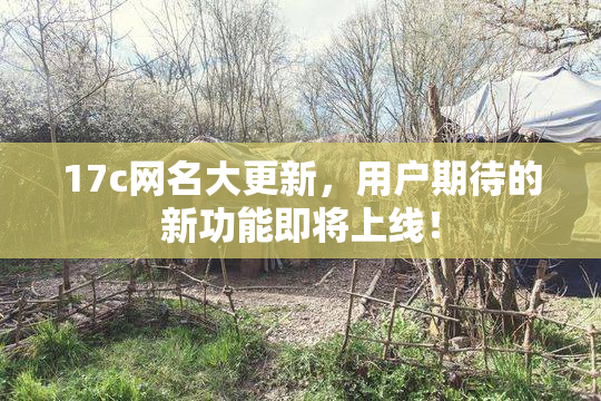17c网名大更新，用户期待的新功能即将上线！