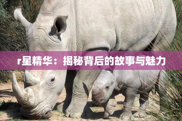 r星精华：揭秘背后的故事与魅力