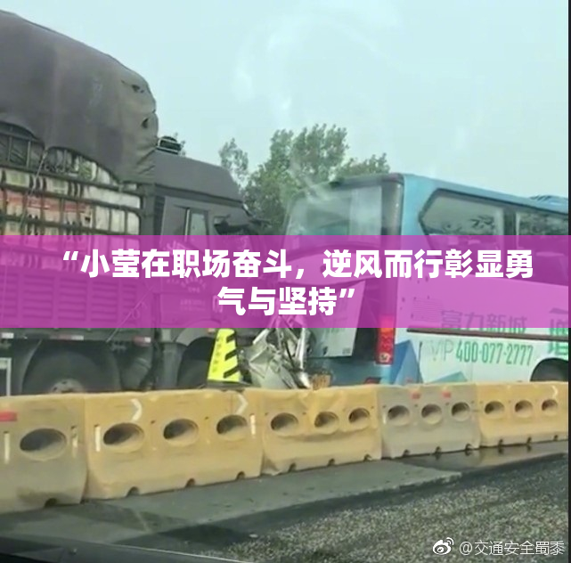 “小莹在职场奋斗，逆风而行彰显勇气与坚持”