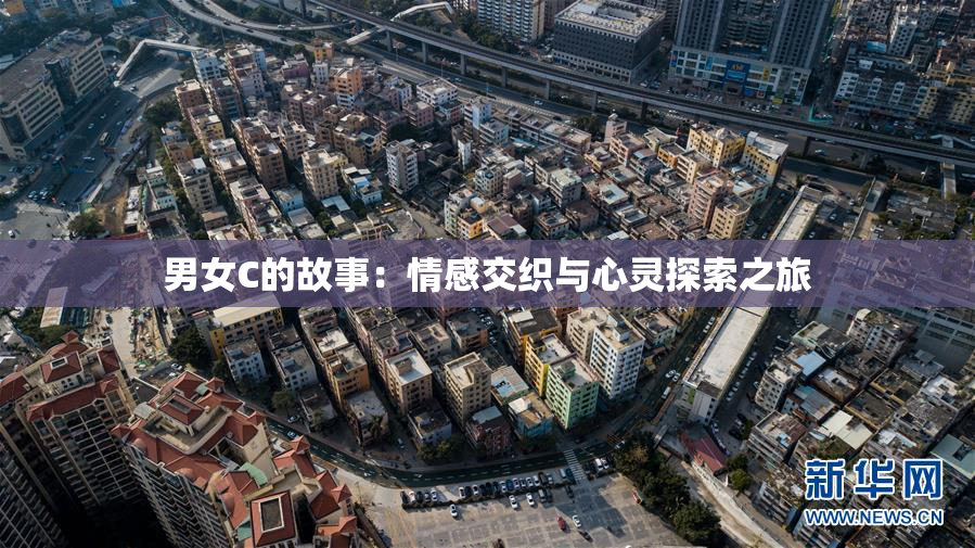 男女C的故事：情感交织与心灵探索之旅