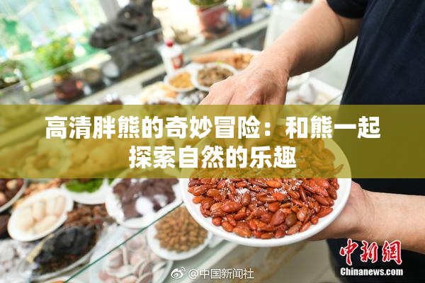 高清胖熊的奇妙冒险：和熊一起探索自然的乐趣