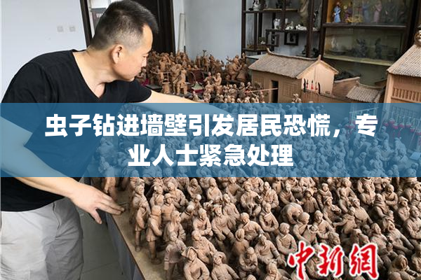 虫子钻进墙壁引发居民恐慌，专业人士紧急处理