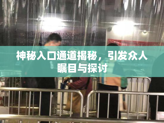 神秘入口通道揭秘，引发众人瞩目与探讨