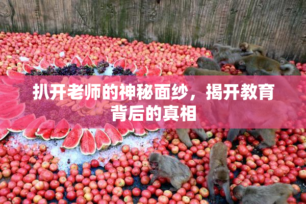 扒开老师的神秘面纱，揭开教育背后的真相