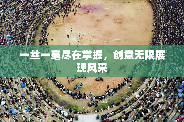 一丝一毫尽在掌握，创意无限展现风采